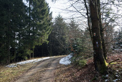 Möhne-Westerwald-Weg am Alten Fuhrmann