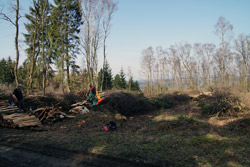 Haubergsgenossenschaft Seelbach auf dem Starken Buberg