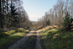 Trasse Fernhandelsweg Brüderstraße