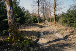 Trasse Fernhandelsweg Brüderstraße