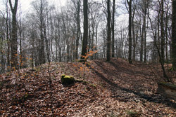 Innerer Ringwall der Alten Burg