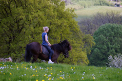 Ponyreiterin bei Stupperhof