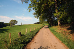 Wanderweg A9 vorbei an Weidekämpen