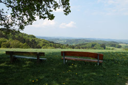 Blick zum fernen Siebengebirge