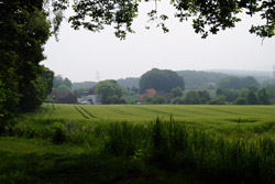 Blick vom Vierenberg auf Hollenstein