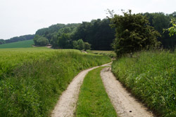 Der Hansaweg (X9) am Großen Berg