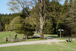 Landwirtschaft im Nesselbachtal