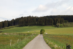 Zwischen Trufterhain und Windbrachekopf