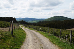 Der Waldskulpturenweg Richtung Almert