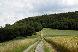 Aufstieg von Reine zum Ahornberg