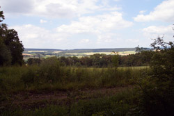 Blick vom Lüningsberg auf Hilkenbreden