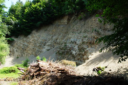 Mergelgrube am Hang des Piepenkopf