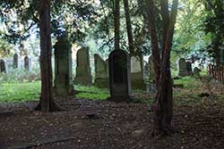 Jüdischer Friedhof im Uhlenbruch