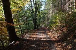 Plackweg in Hohenlimburg