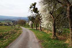 Ausblick unterhalb vom Waakeberg