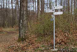 Wanderwegweiser am Rauheberg. Hier zweigt der Werra-Burgen-Steig Hessen (X5H) auf der Gemeindegrenze nach rechts ab zum Schloss Berlepsch