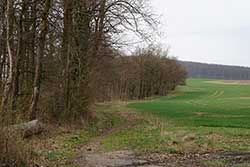 Kreideberg oberhalb von Atzenhausen