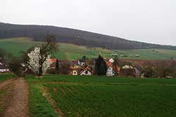 Blick vom "Werra-Burgen-Steig Hessen" über Albshausen zum Kobelsberg