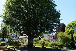 Der Dorfplatz in Ahrenberg