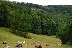 Blick auf den Weißen Graben über Hitzelrode