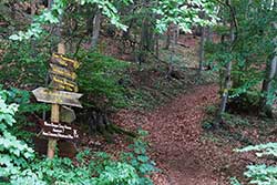 Wanderparkplatz Neuenrode (Alter Steinbruch)