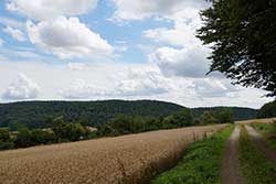 Blick zum Schieferstein