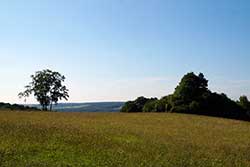 Bergwiese oberhalb des Ziegenbergs in Netra