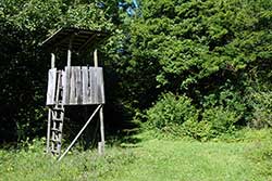 Hochsitz auf der Graburg zwischen Rabenkuppe und Erika-Hütte